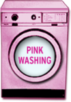pinkwashingpic